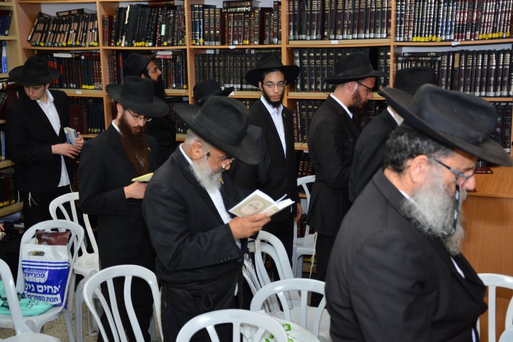 תמונה (211) (Large)